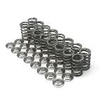 DUAL SPRING/TITANIUM RETAINER KIT (Nissan SR20VE)